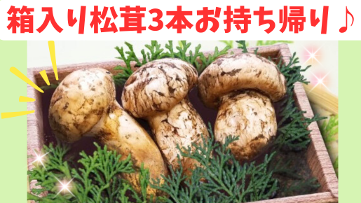 <Web割対象商品>【キングツアーバス旅】秋の味覚 箱入り松茸3本お持ち帰り♪シャインマスカット狩り食べ放題&松茸のご昼食 富士山と花のコラボ「虹の花まつり」〔調布・府中発〕1